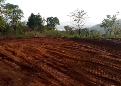 Reverie Forest House Plots