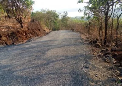 Reverie Forest House Plots