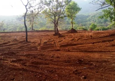 Reverie Forest House Plots