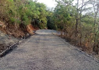 Reverie Forest House Plots