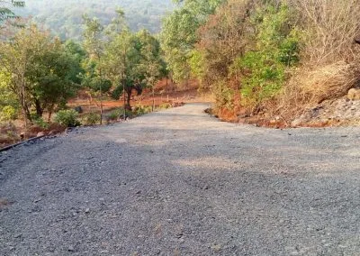 Reverie Forest House Plots